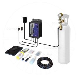 Does this system sanitize the pool and eliminate the need for chlorine?